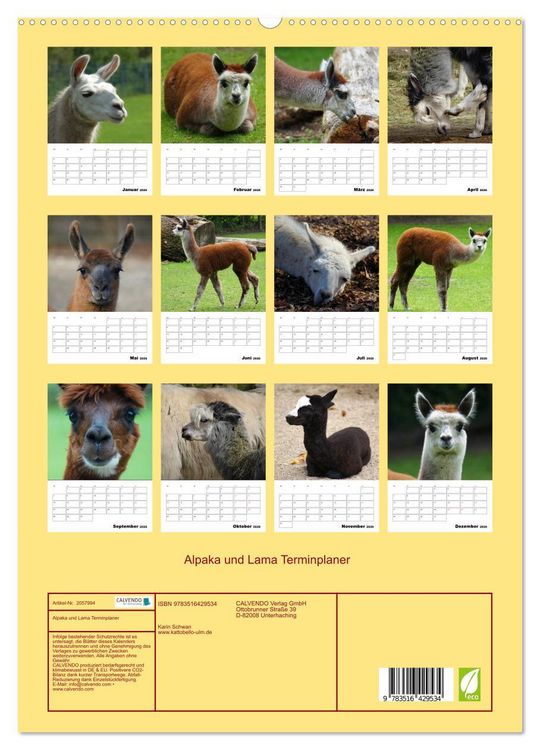 Produktbild: Alpaka und Lama Terminplaner (hochwertiger Premium Wandkalender 2026 DIN A2 hoch), Kunstdruck in Hochglanz