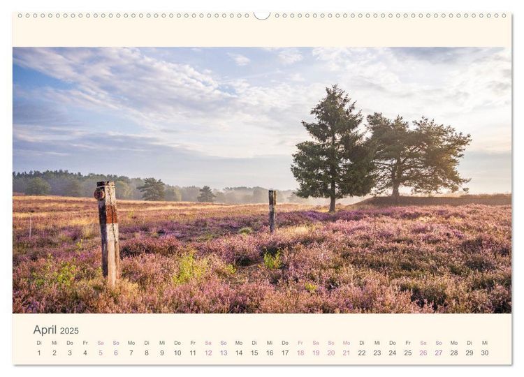 Mehlinger Heide (Wandkalender 2025 DIN A2 quer), CALVENDO Monatskalender