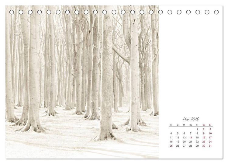 Produktbild: Kalenderspr&uuml;che (Tischkalender 2026 DIN A5 quer), CALVENDO Monatskalender