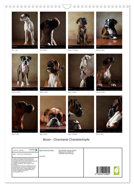 Produktbild: Boxer - Charmante Charakterk&ouml;pfe (Wandkalender 2026 DIN A3 hoch), CALVENDO Monatskalender