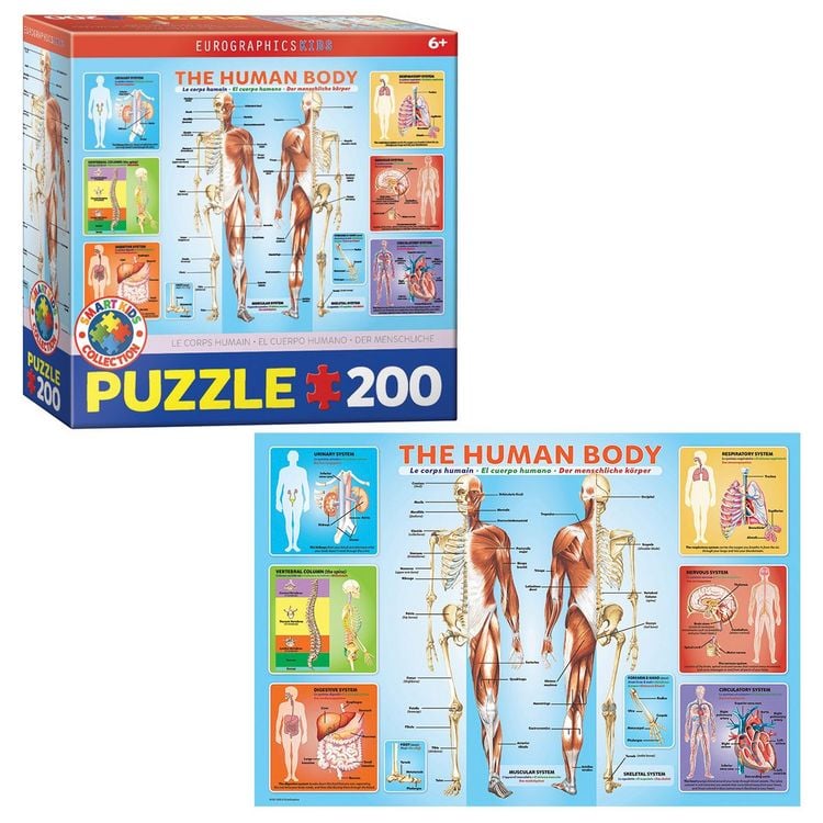 Produktbild: The Human Body 200-Piece Puzzle