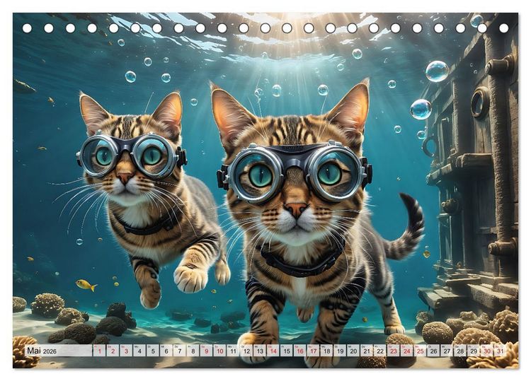 Produktbild: Katzen unter Wasser (Tischkalender 2026 DIN A5 quer), CALVENDO Monatskalender