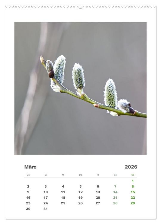 Produktbild: Minimalistisch, Gr&auml;ser, Bl&uuml;ten, Bl&auml;tter und Zweige im Fokus (Wandkalender 2026 DIN A2 hoch), CALVENDO Monatskalender