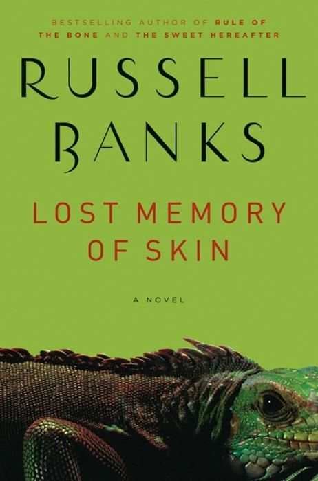 Produktbild: Lost Memory of Skin