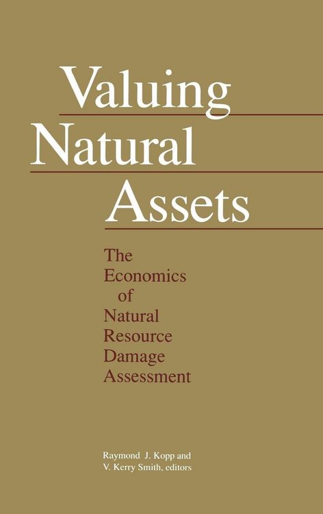 Produktbild: Valuing Natural Assets