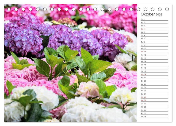 Produktbild: Blumenfreude Terminkalender (Tischkalender 2026 DIN A5 quer), CALVENDO Monatskalender
