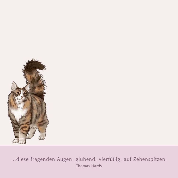 Produktbild: Zettelk&auml;stchen &ndash; I love cats