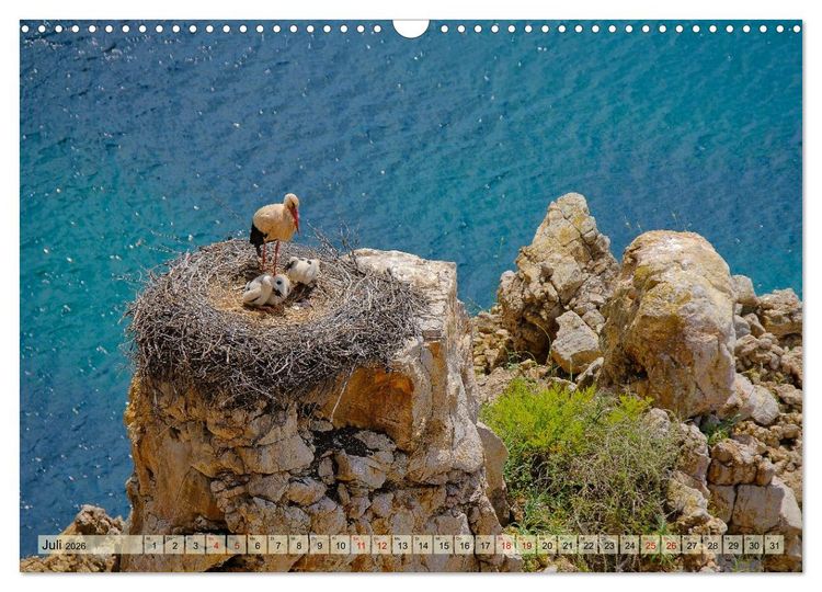 Produktbild: Fischerweg Portugal (Wandkalender 2026 DIN A3 quer), CALVENDO Monatskalender