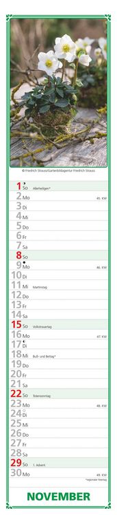 Produktbild: Paules Gartenplaner 2026 - Streifenplaner - Wandplaner - Küchen-Kalender - 11,3x49,5