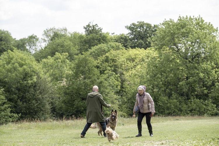 Produktbild: Mit Herz und Hund