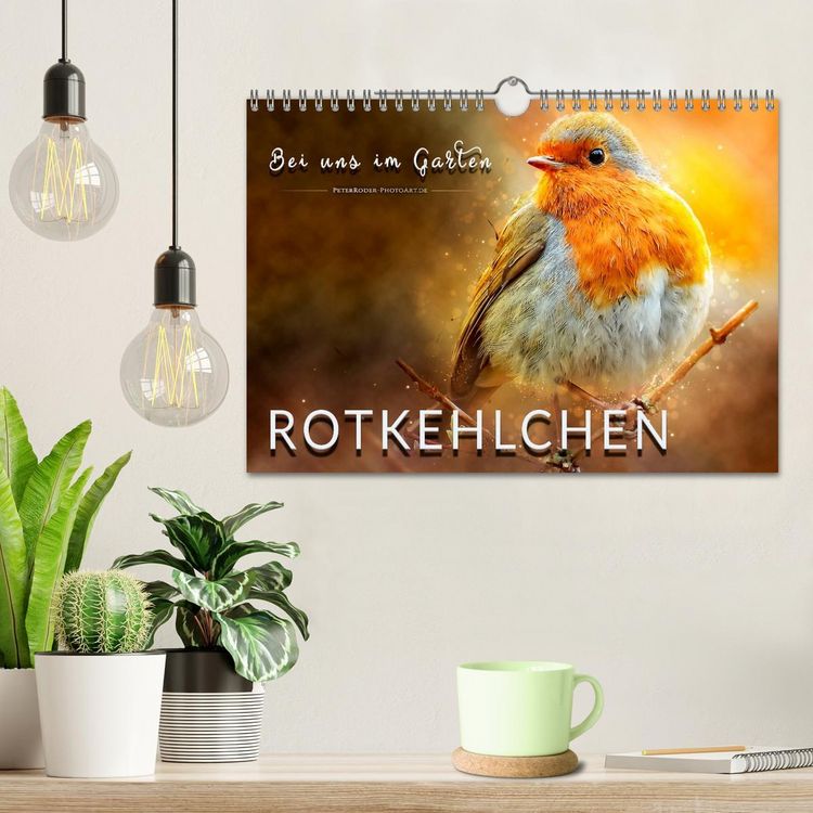 Produktbild: Bei uns im Garten - Rotkehlchen (Wandkalender 2026 DIN A4 quer), CALVENDO Monatskalender