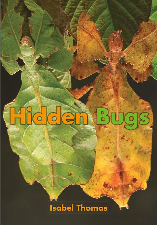 Produktbild: Hidden Bugs