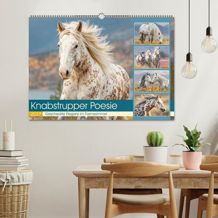Produktbild: Knabstrupper Poesie. Gescheckte Eleganz im Farmsommer (Wandkalender 2027 DIN A2 quer), CALVENDO Monatskalender