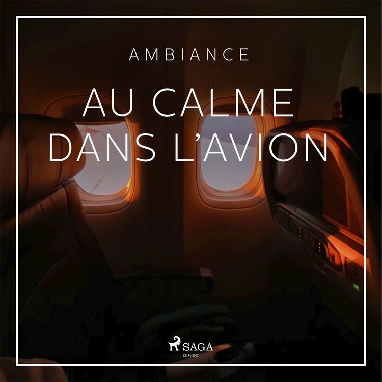 Produktbild: Au calme dans l'avion
