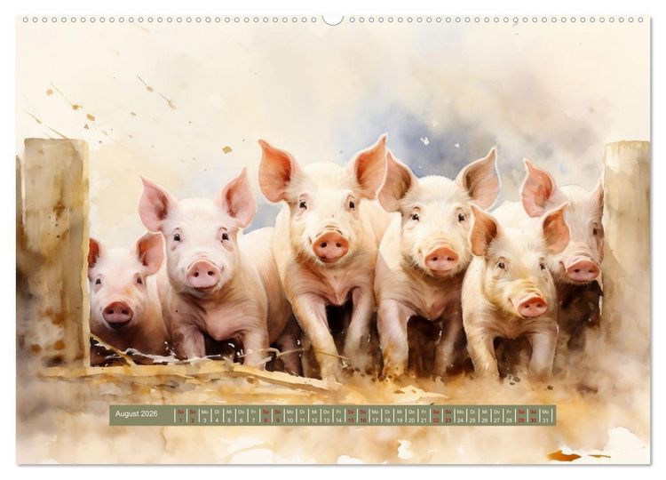 Produktbild: 365 Tage auf dem Land (Wandkalender 2026 DIN A2 quer), CALVENDO Monatskalender