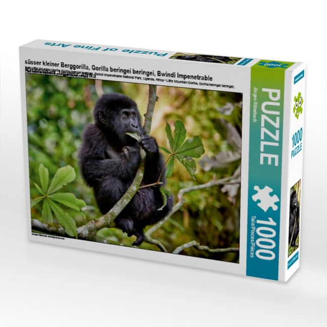 Produktbild: CALVENDO Puzzle s&uuml;sser kleiner Berggorilla, Gorilla beringei beringei, Bwindi Impenetrable Nationalpark, Uganda, Afrika | 1000 Teile Lege-Gr&ouml;&szlig;e 64x48cm Foto-Puzzle f&uuml;r gl&uuml;ckliche Stunden