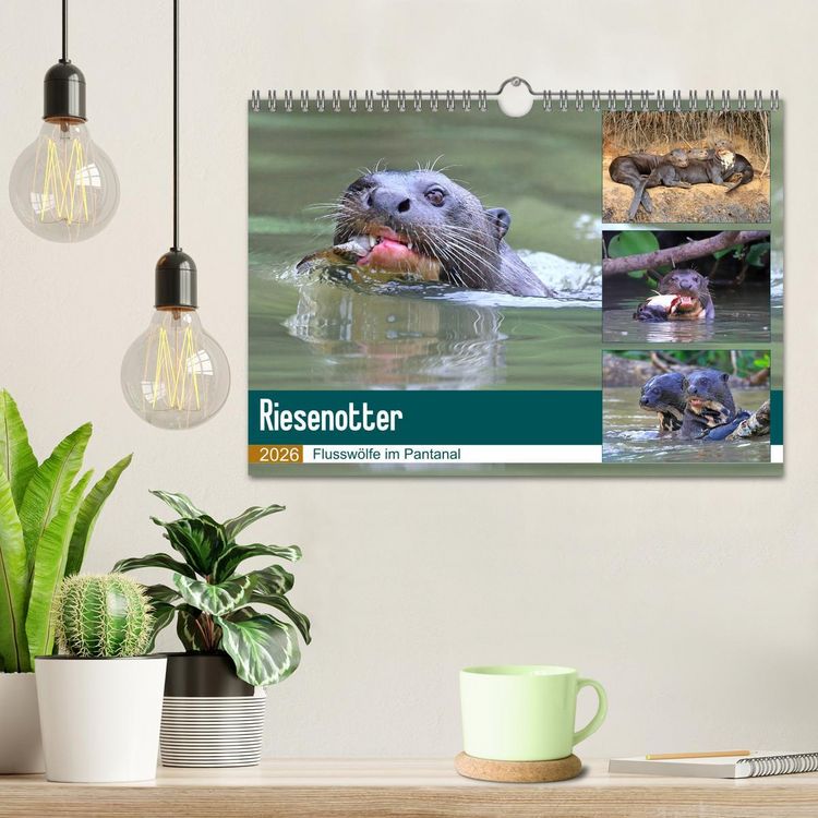 Produktbild: Riesenotter - Flussw&ouml;lfe im Pantanal (Wandkalender 2026 DIN A4 quer), CALVENDO Monatskalender