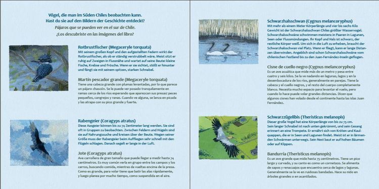 Produktbild: 9 Kilometer (Spanisch-Deutsch)