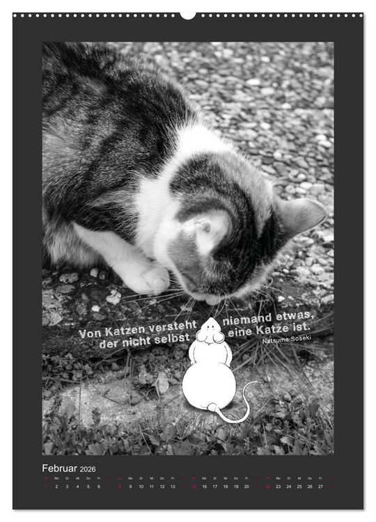 Produktbild: Katz & Maus (Wandkalender 2026 DIN A2 hoch), CALVENDO Monatskalender