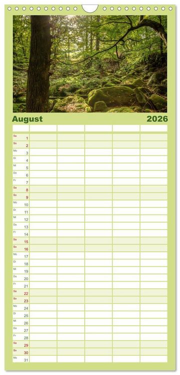 Produktbild: Familienplaner 2026 - Der Odenwald und das Felsenmeer mit 5 Spalten (Wandkalender, 21 x 45 cm) CALVENDO