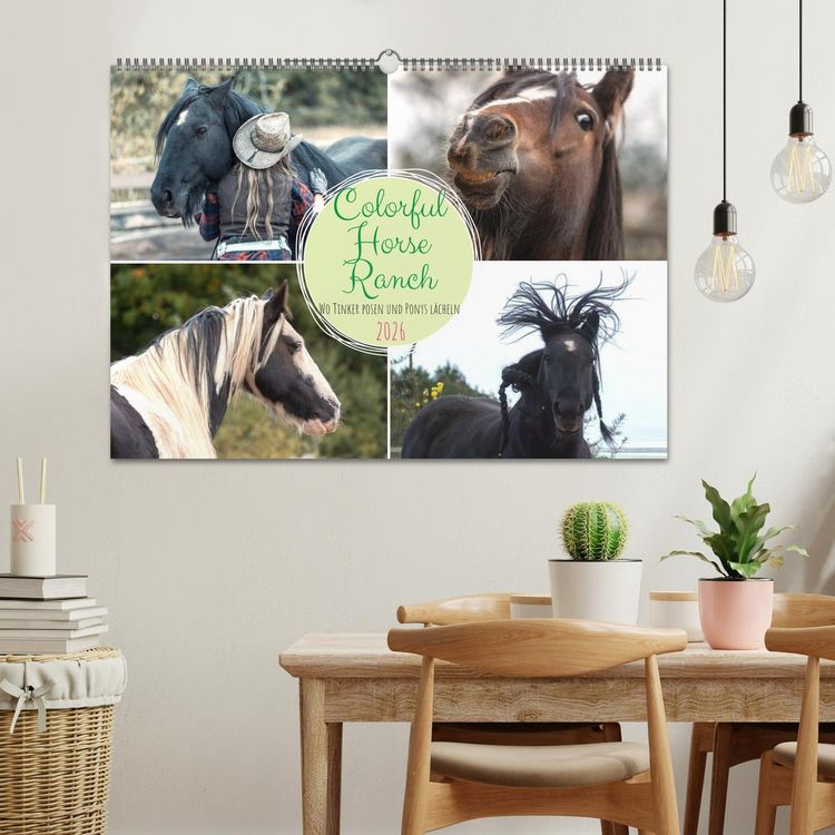 Produktbild: Colorful Horse Ranch &ndash; Wo Tinker posen und Ponys l&auml;cheln (Wandkalender 2026 DIN A2 quer), CALVENDO Monatskalender