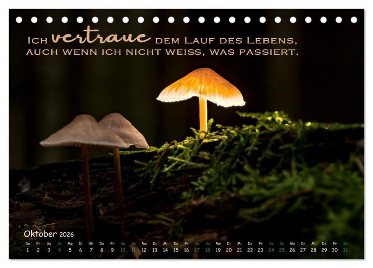 Produktbild: Weibliche Kraft - 12 Impulse zu deiner Wirksamkeit als Frau (Tischkalender 2026 DIN A5 quer), CALVENDO Monatskalender