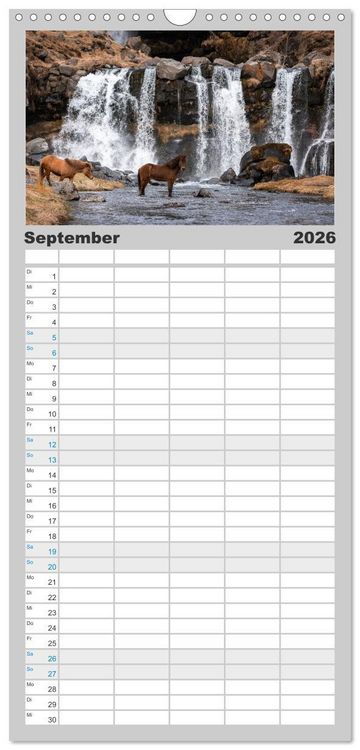 Produktbild: Familienplaner 2026 - Islandpferde Kalender - Pferde von der Insel aus Feuer und Eis mit 5 Spalten (Wandkalender, 21 x 45 cm) CALVENDO