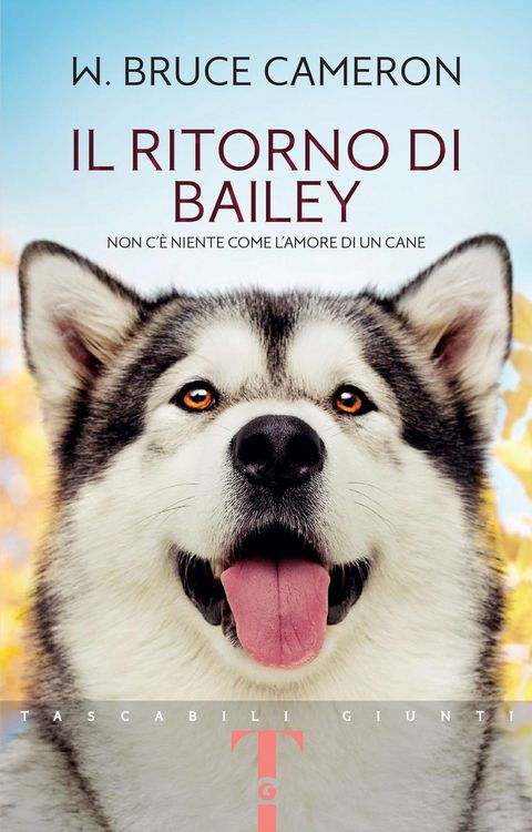 Produktbild: Il ritorno di Bailey