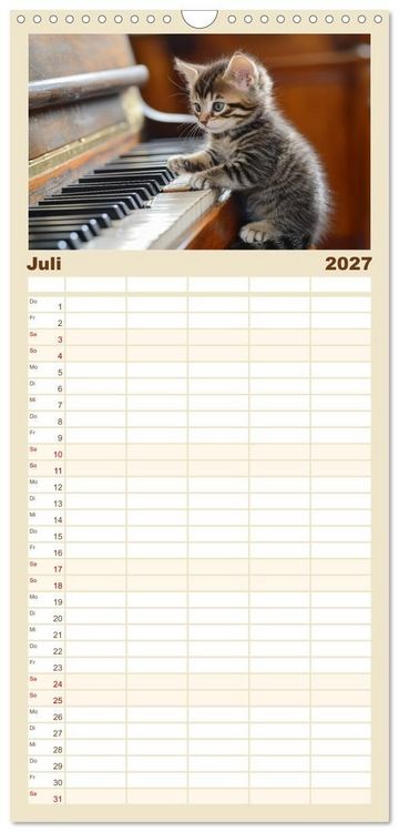 Produktbild: Familienplaner 2027 - Miau-sikalische Momente mit 5 Spalten (Wandkalender, 21 x 45 cm) CALVENDO