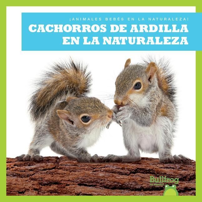 Produktbild: Cachorros de Ardilla En La Naturaleza (Squirrel Kits in the Wild)