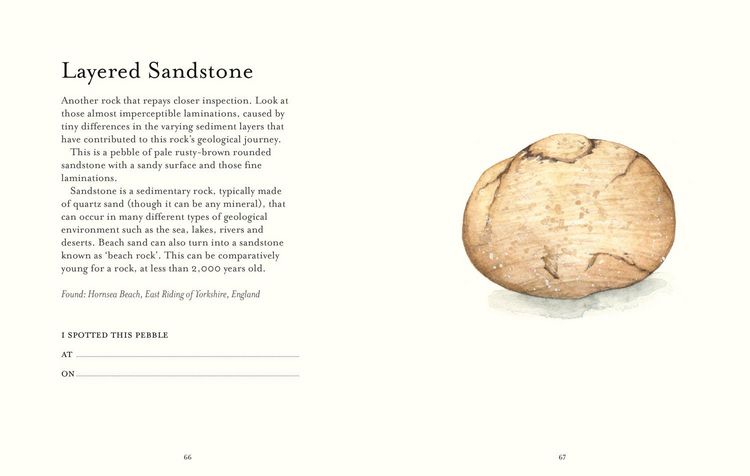 Produktbild: The Pebble Spotter's Guide - National Trust Edition