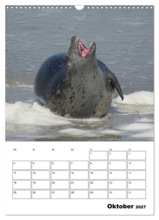 Produktbild: Liebenswerte Robben (Wandkalender 2027 DIN A3 hoch), CALVENDO Monatskalender
