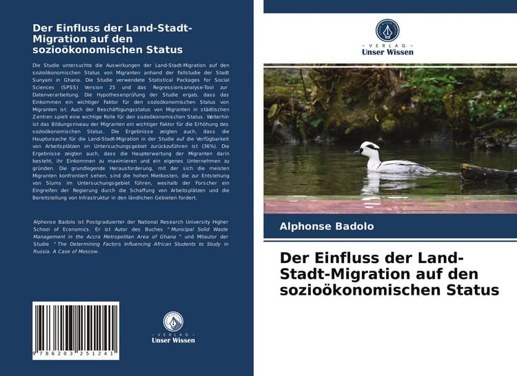 Produktbild: Der Einfluss der Land-Stadt-Migration auf den sozio&ouml;konomischen Status