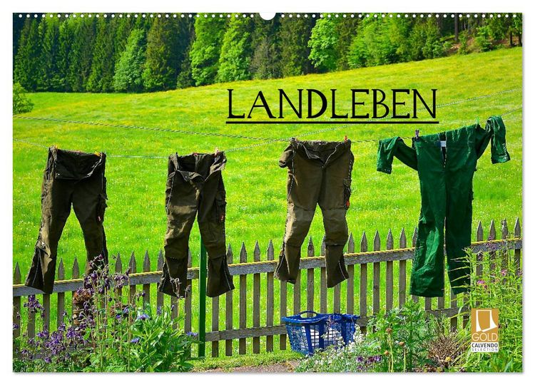 Produktbild: Landleben (Wandkalender 2026 DIN A2 quer), CALVENDO Monatskalender