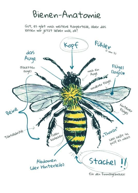 Produktbild: Omg Bees