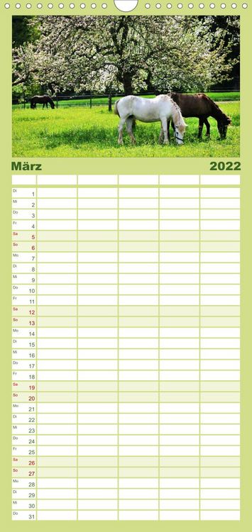 Produktbild: Familienplaner Faszination Pferde (Wandkalender 2022 , 21 cm x 45 cm, hoch)