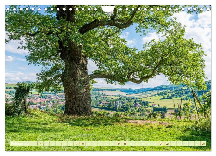 Produktbild: Mystischer Disibodenberg (Wandkalender 2026 DIN A4 quer), CALVENDO Monatskalender