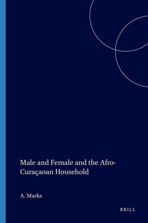 Produktbild: Male and Female and the Afro-Cura&ccedil;aoan Household