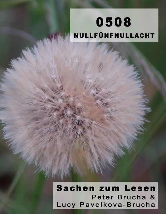Produktbild: 0508