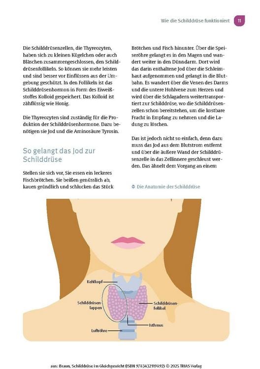 Produktbild: Schilddr&uuml;se im Gleichgewicht