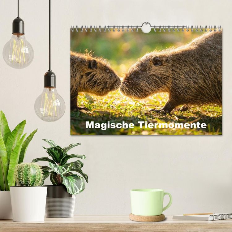 Produktbild: Magische Tiermomente (Wandkalender 2027 DIN A4 quer), CALVENDO Monatskalender