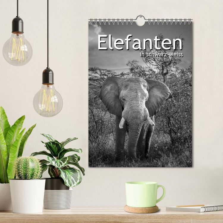 Produktbild: Elefanten in schwarz-weiss (Wandkalender 2026 DIN A4 hoch), CALVENDO Monatskalender