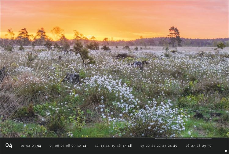 Produktbild: Deutschlands Naturparadiese Kalender 2027 - Edition Alexander von Humboldt Kalender 2027