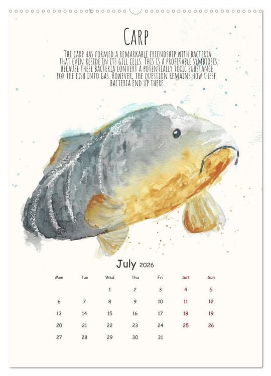 Produktbild: Symbiosis, the story of collaborations in nature (Wall Calendar 2026 DIN A2 portrait), CALVENDO 12 Month Wall Calendar