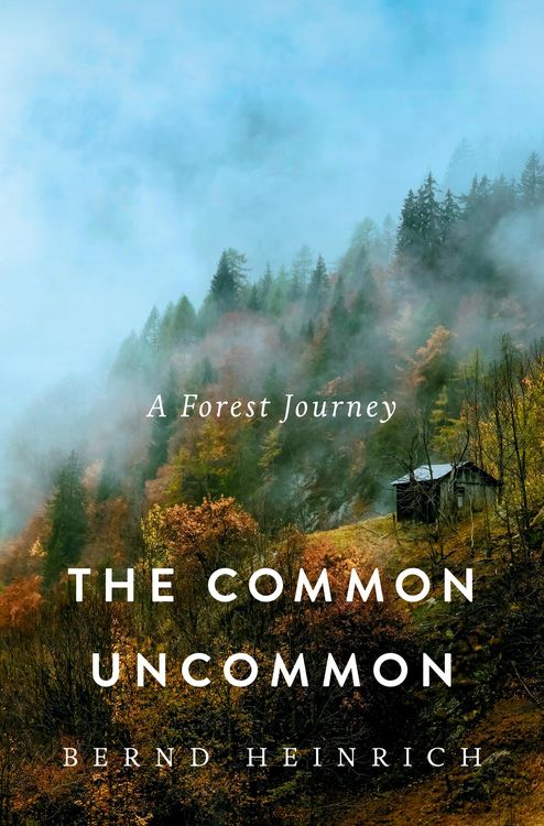 Produktbild: The Common Uncommon