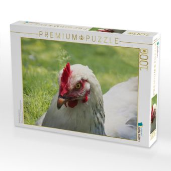 Produktbild: CALVENDO Puzzle Gl&uuml;ckliche Freilandh&uuml;hner | 1000 Teile Lege-Gr&ouml;&szlig;e 64x48cm Foto-Puzzle f&uuml;r gl&uuml;ckliche Stunden