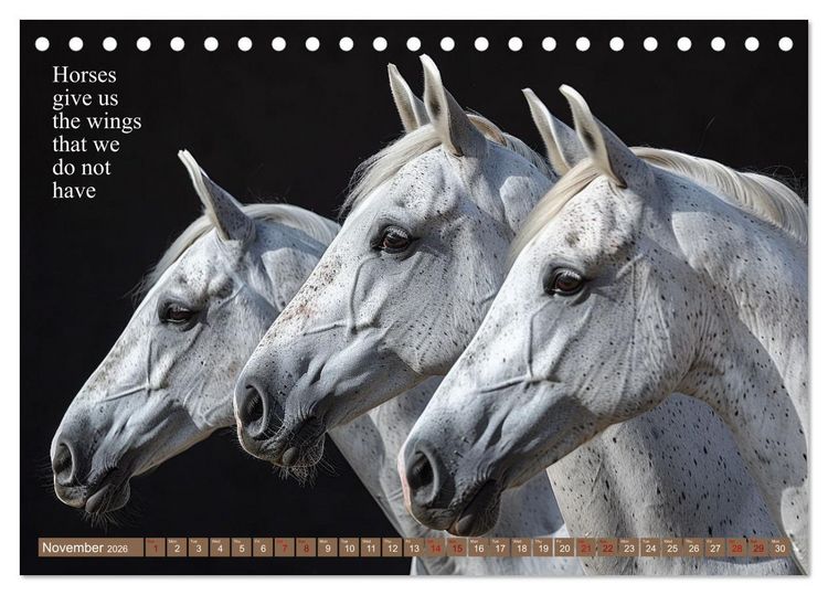 Produktbild: A Horse Makes You Complete (Desk Calendar 2026 DIN A5 landscape), CALVENDO 12 Month DeskCalendar
