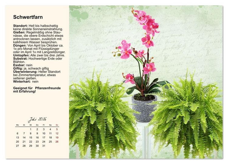 Produktbild: Bestes Raumklima durch Zimmerpflanzen (Wandkalender 2026 DIN A3 quer), CALVENDO Monatskalender