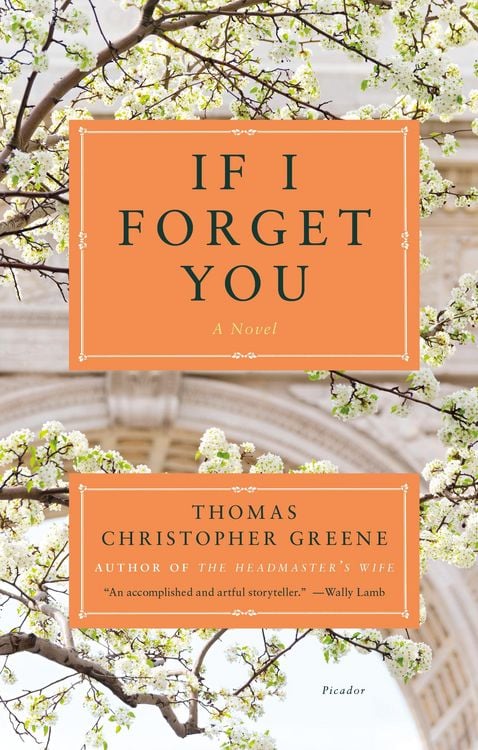 Produktbild: If I Forget You