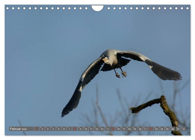 Produktbild: INNE BOTANIK - V&ouml;gel im Ruhrpott (Wandkalender 2026 DIN A4 quer), CALVENDO Monatskalender